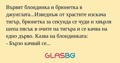 Вървят блондинка и брюнетка в джунглата...Изведнъж...