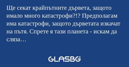 Ще секат крайпътните дървета, защото...