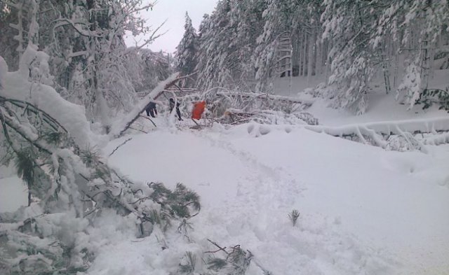 В Смолян бедствено положение, 40 села в Пловдивско без ток (ОБЗОР)