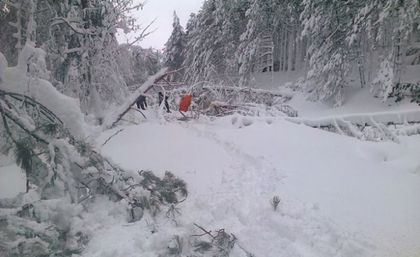 В Смолян бедствено положение, 40 села в Пловдивско без ток (ОБЗОР)