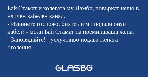 Бай Стамат и колегата му Ламби...