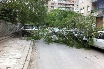 Предупреждават за бурен вятър почти в цялата страна