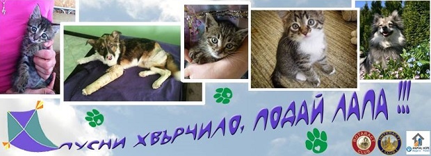 Пусни хвърчило, подай лапа - за втори път в Пловдив