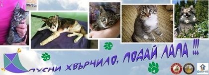 Пусни хвърчило, подай лапа - за втори път в Пловдив