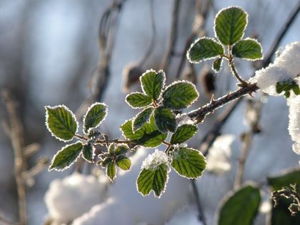 НИМХ: Днес ще бъде облачно, с максимални температури между 6° и 11°