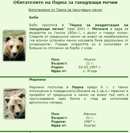 Васил Мадолев, Парк за танцуващи мечки-Белица: Имаме доста възрастни мечки в парка, заради което не можем да си позволим да вземем за отглеждане по-млади