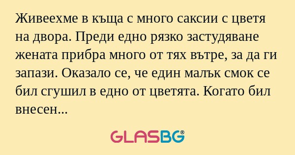 Живеехме в къща с много саксии...