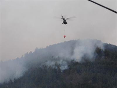 200 души и два хеликоптера гасят пожара край Смолян