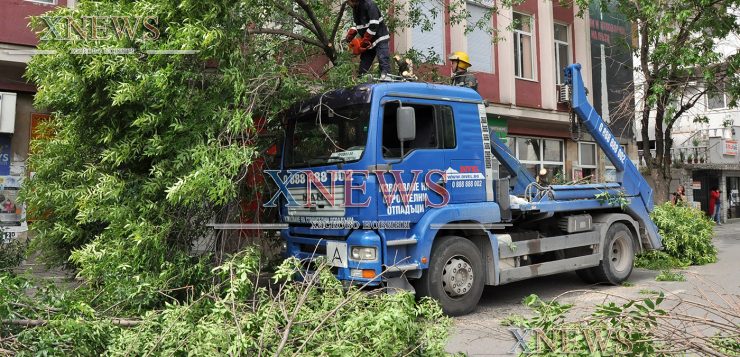 Камион килна дърво пред комплекс 21 век