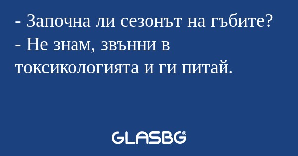 Започна ли сезонът на гъбите...