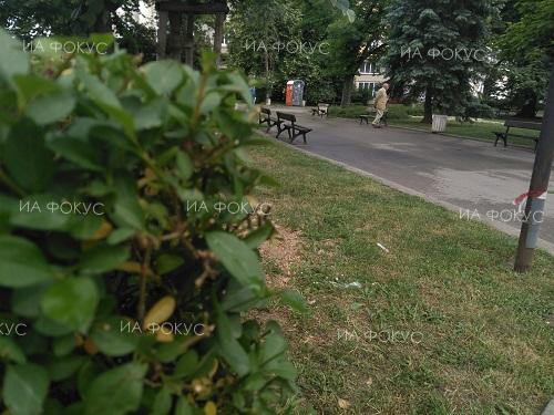 НИМХ: Ще продължи да вали дъжд - максималните температури ще са между 20° и 25°