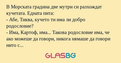 В Морската градина две мутри си...