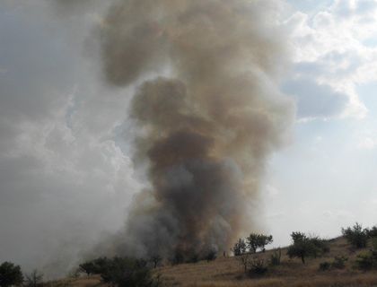 Овладян е огромният пожар, който избухна в Тополовградско