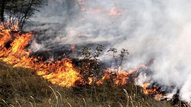 Потушен беше пожар във вилна зона 