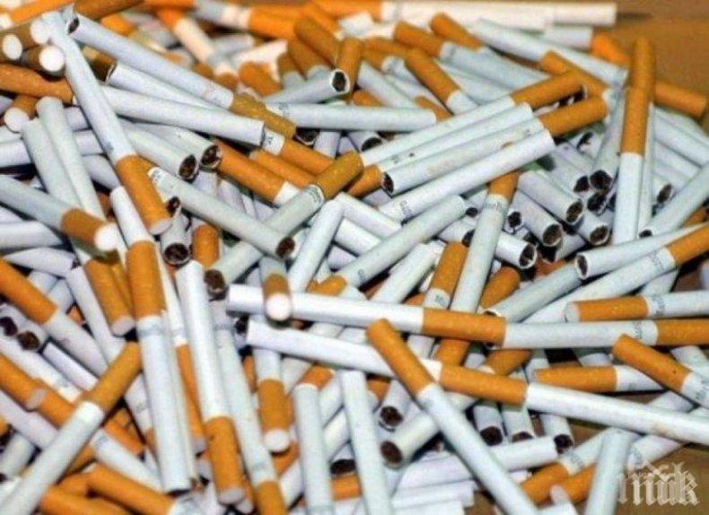 Цигарите убили 3300 нашенци за година