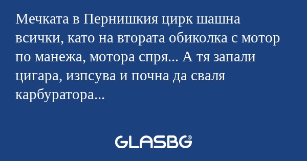 Мечката в Пернишкия цирк шашна...