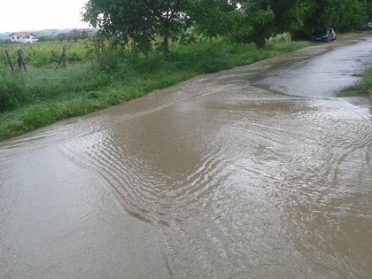Уж вали едва-едва, а Брани поле е под вода