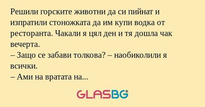 Решили горските животни да си пийнат...