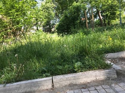 Парк в Коматево се превърна в джунгла, на места тревите стигат до коляно (СНИМКИ)