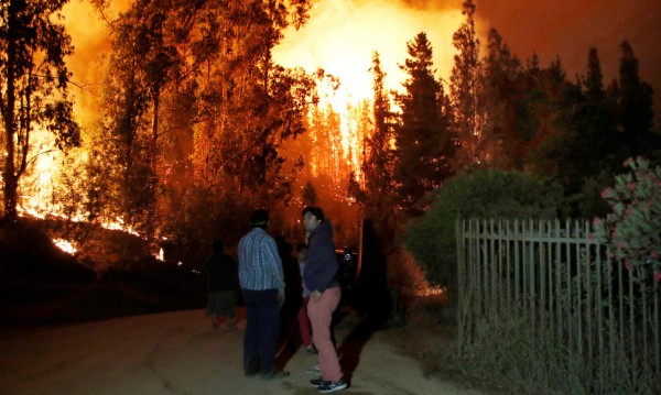 Опустошителни горски пожари в Чили