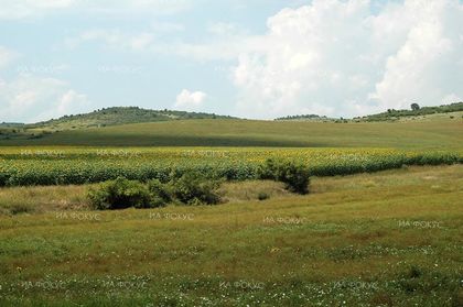 Шумен: Предстои пръскане с препарати за растителна защита в землищата на града
