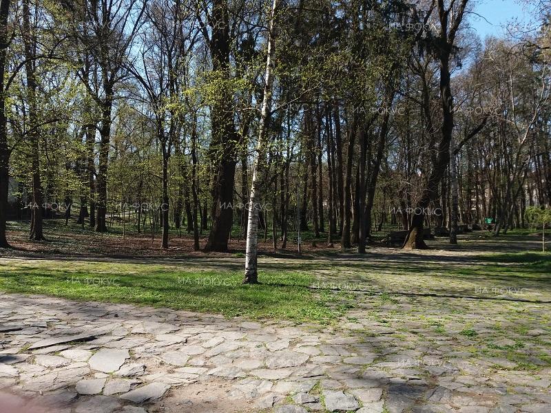 Сливен: Продължава пръскането срещу комари и кърлежи в града