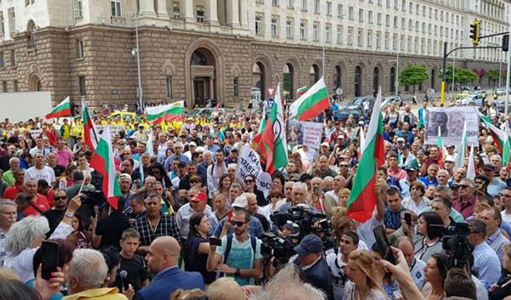 МЛЯКО ПО ЖЪЛТИТЕ ПАВЕТА: Животновъдите поискаха оставки (ВИДЕО+СНИМКИ)