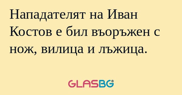 Нападателят на Иван Костов е бил...