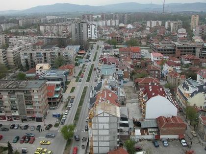 Пазарджик: Продължава организираното хвърляне на отровна храна за бездомните кучета в централната част на града, едно куче вече почина