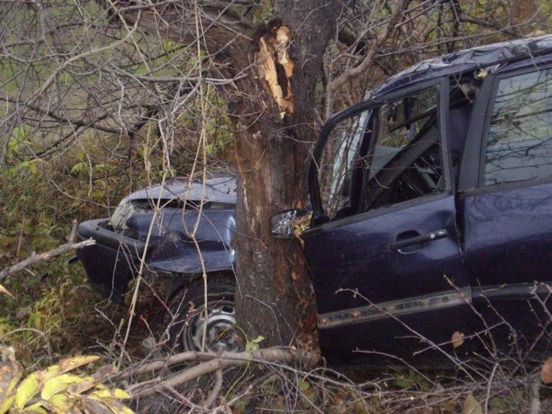 Полицията с подробности за трагедията с две жертви край Войнягово