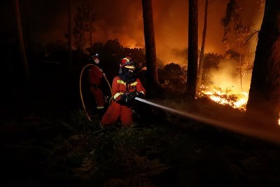 8 загинаха и десетки бяха ранени при пожар в Португалия