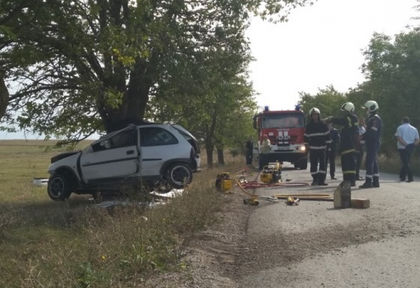 Трагични СНИМКИ: Млада жена загуби живота си под вековно дърво в Шуменско