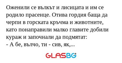 Оженили се вълкът и лисицата и...