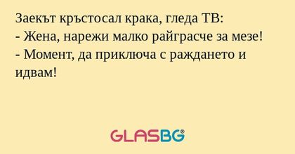 Заекът кръстосал крака, гледа ТВ...