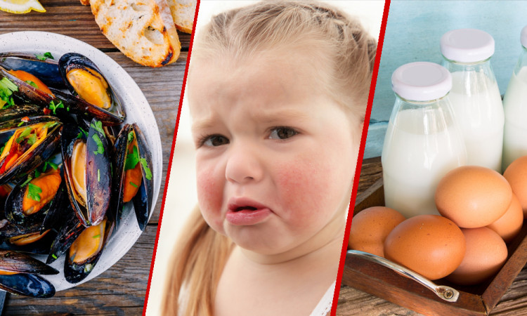 Миди, яйца, мляко, глутен най-често причиняват хранителна алергия