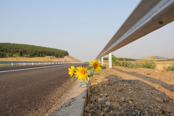 До 5 г . магистрали до Гърция и Сърбия, до Румъния - през 2027 г.