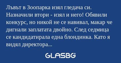 Лъвът в Зоопарка изял гледача си...