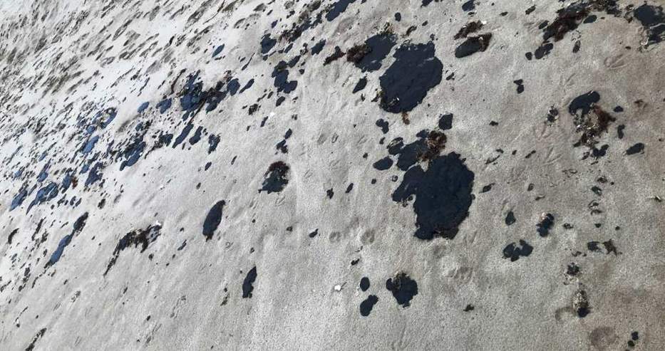 Докато всички говорят за кокаина в морето, друга гадост изплува на плажа в Албена