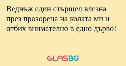 Веднъж един стършел влезна през...