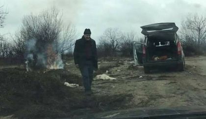 Изродщина край Карлово! Бизнесмен уби и запали 4 кучета!