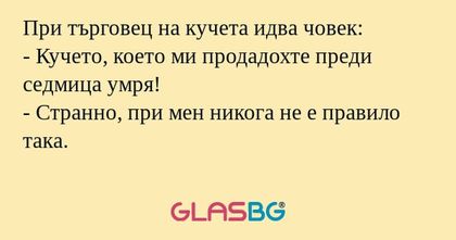 При търговец на кучета идва човек...