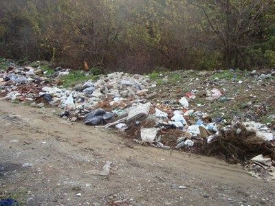 Почистиха 16 нерегламентирани сметища след предписания на екоинспекторите във Велико Търново
