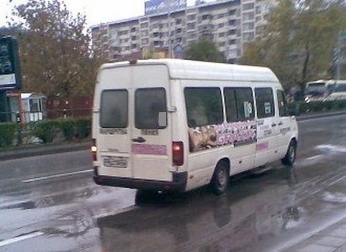 Нахакана млада шофьорка е катурнала маршрутката! Ранена е пътничка