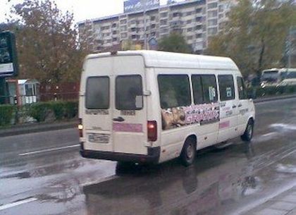Нахакана млада шофьорка е катурнала маршрутката! Ранена е пътничка