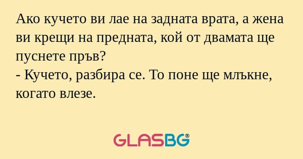 Ако кучето ви лае на задната врата...
