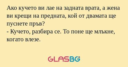 Ако кучето ви лае на задната врата...