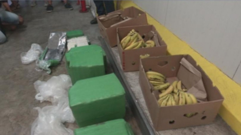 Банани с кокаин! Обискират складове в София, Варна и Пловдив