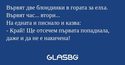 Вървят две блондинки в гората за...