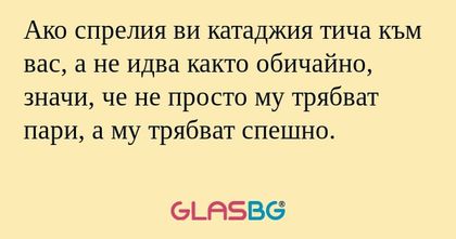 Ако спрелия ви катаджия тича към...