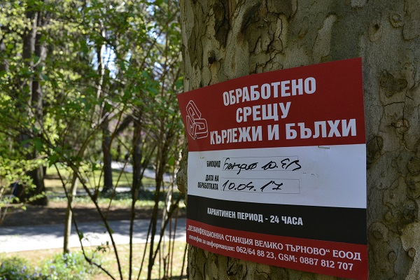 Велико Търново: След сряда започва обработването на парковете и зелените площи срещу кърлежи и бълхи в града